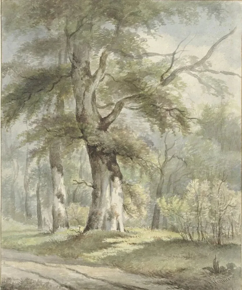 Gemälde Blick auf den Wald - Arnoldus Johannes Eymer | Kunstdruck