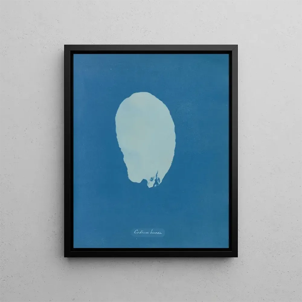 Gemälde Bourse codique - Anna Atkins | Kunstdruck