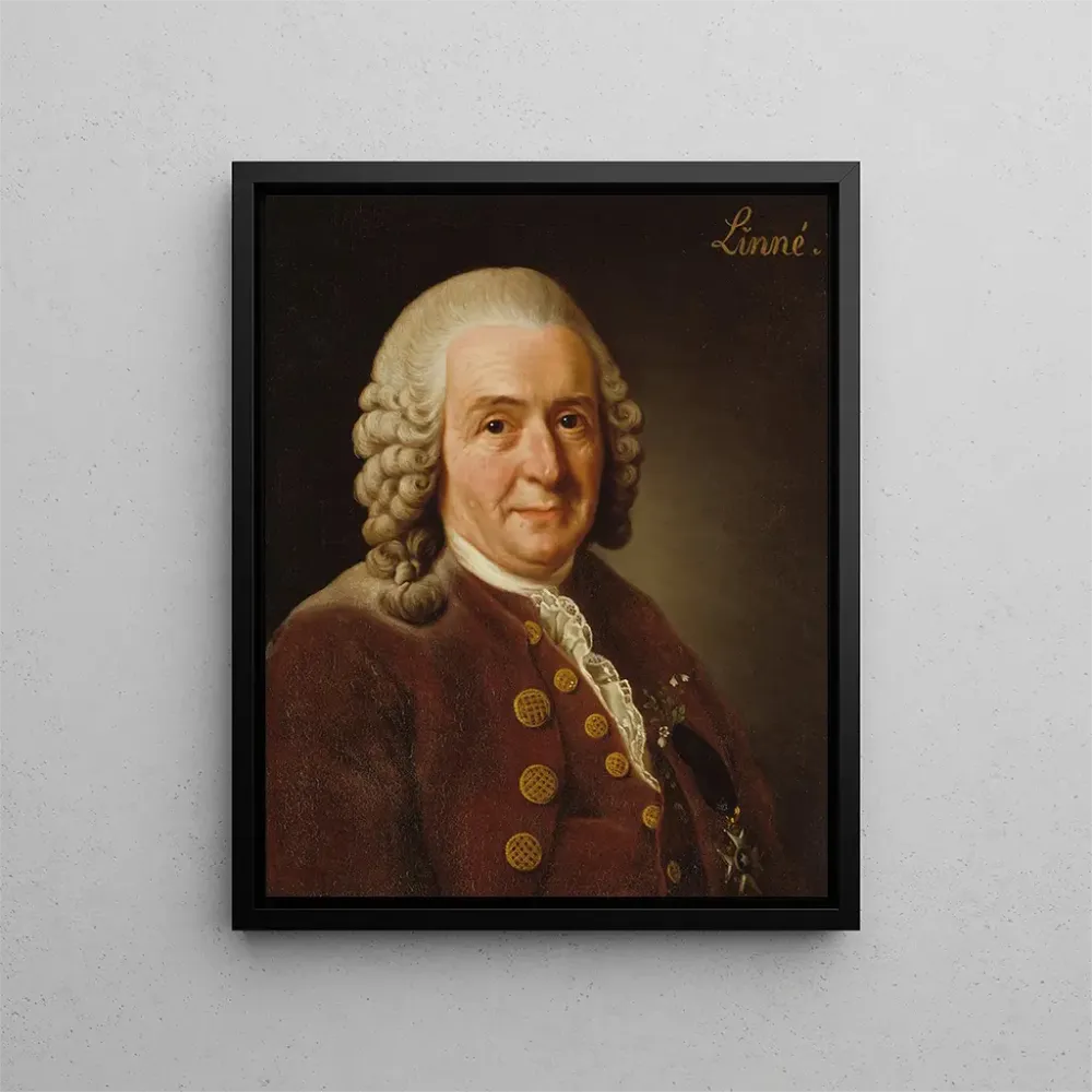 Gemälde Carl von Linné 1707-1778 Botaniker Professor - Alexander Roslin | Kunstdruck