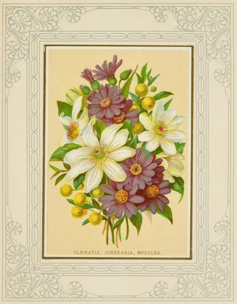 Gemälde Clématite, cineraria, buddleia - Marcus Ward & Co. | Kunstdruck