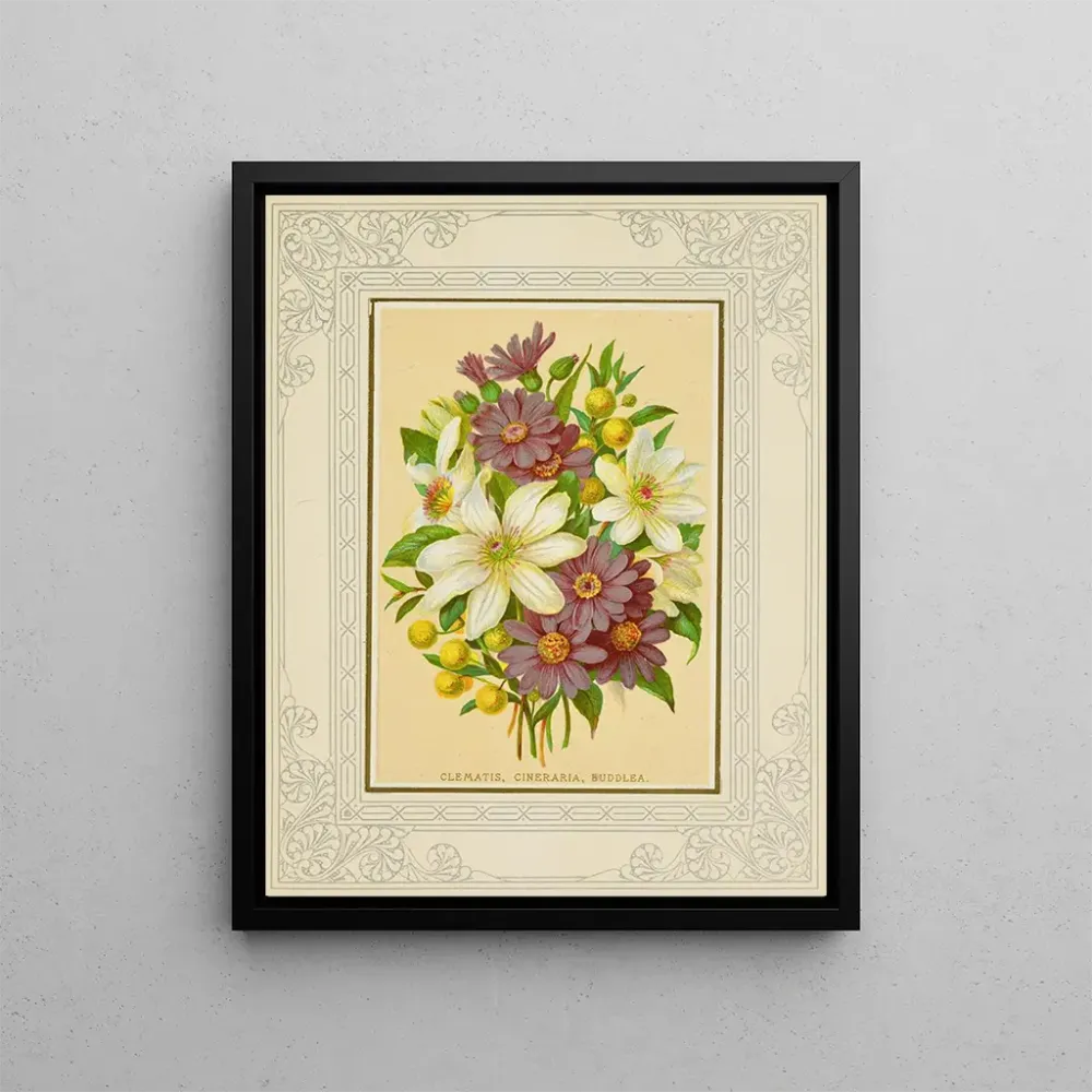 Gemälde Clématite, cineraria, buddleia - Marcus Ward & Co. | Kunstdruck