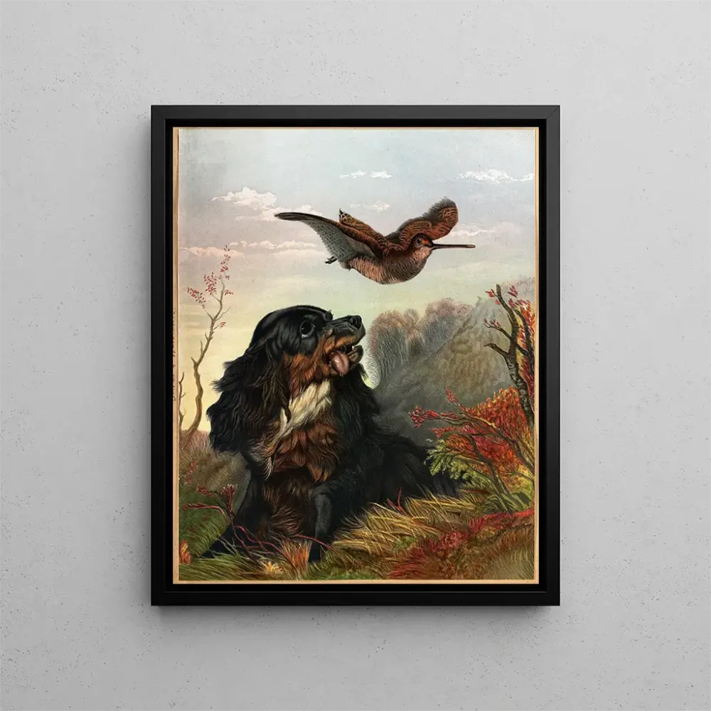 Gemälde Cocker und Bécasse - Arthur Fitzwilliam Tait | Kunstdruck