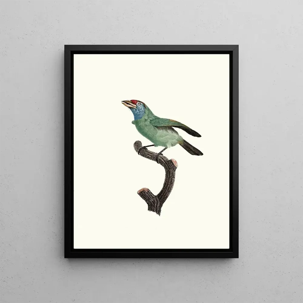 Gemälde Der Bartvogel Weibchen - Jacques Barraband | Kunstdruck
