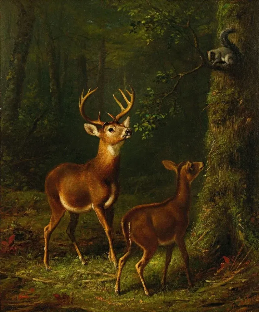 Gemälde Die Adirondack-Wald - Arthur Fitzwilliam Tait | Kunstdruck