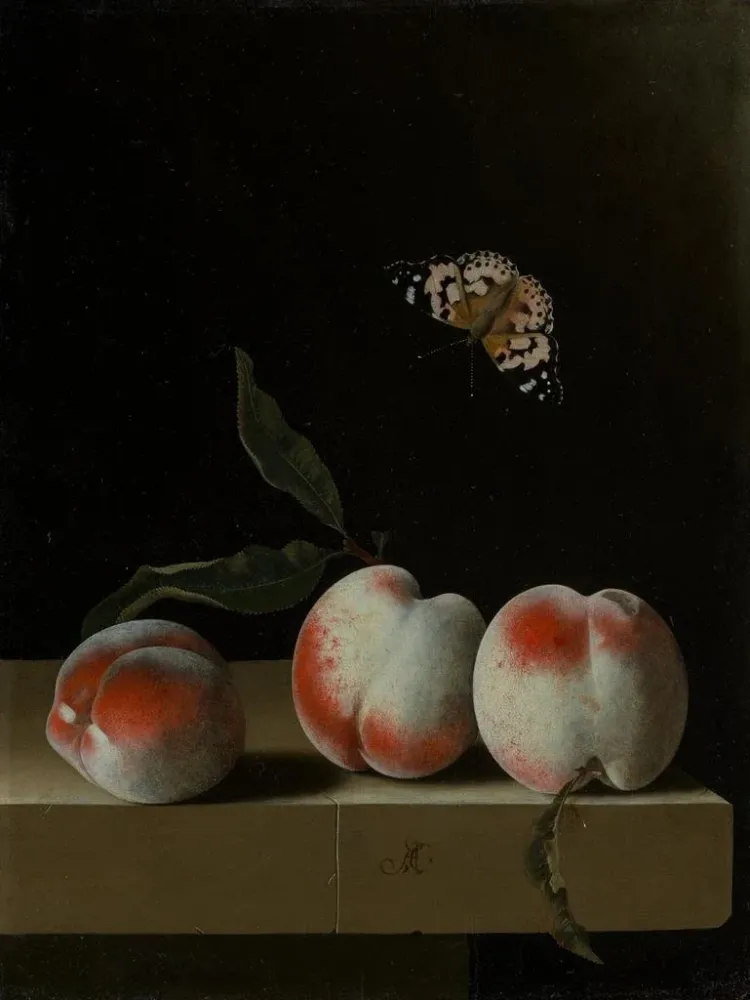 Gemälde Drei Pfirsiche auf einem Steinsockel mit einem Schmetterling Dame gemalt - Adriaen Coorte | Kunstdruck
