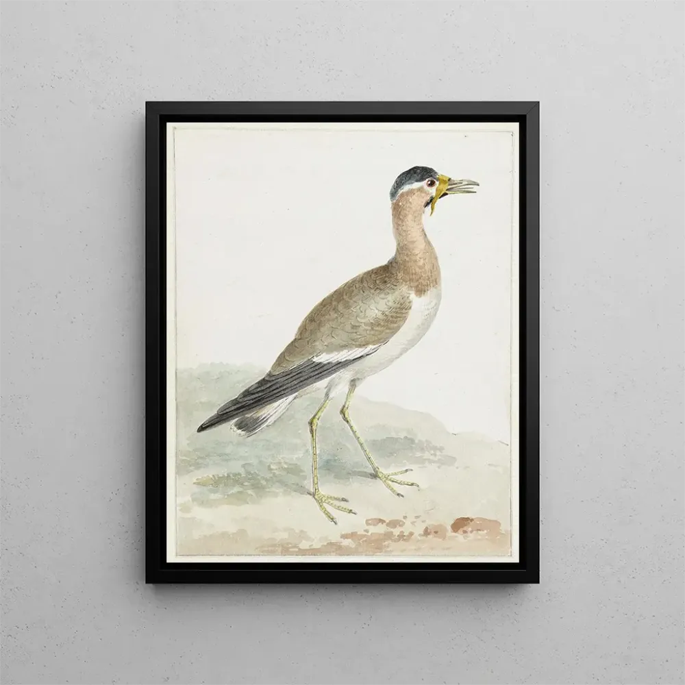 Gemälde Ein Kranich mit großen Hörnern - Aert Schouman | Kunstdruck