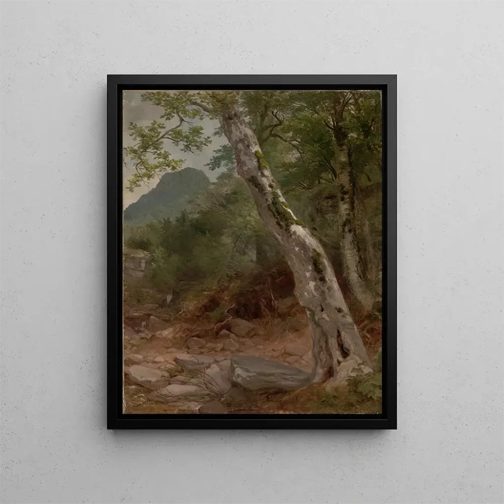 Gemälde Ein Sycomore Plaaterkill Clove Le sycomore Kaaterskill Clove - Asher Brown Durand