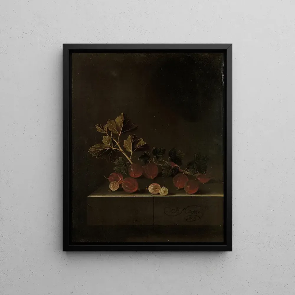 Gemälde Ein Zweig Johannisbeeren auf einem Steinsockel - Adriaen Coorte