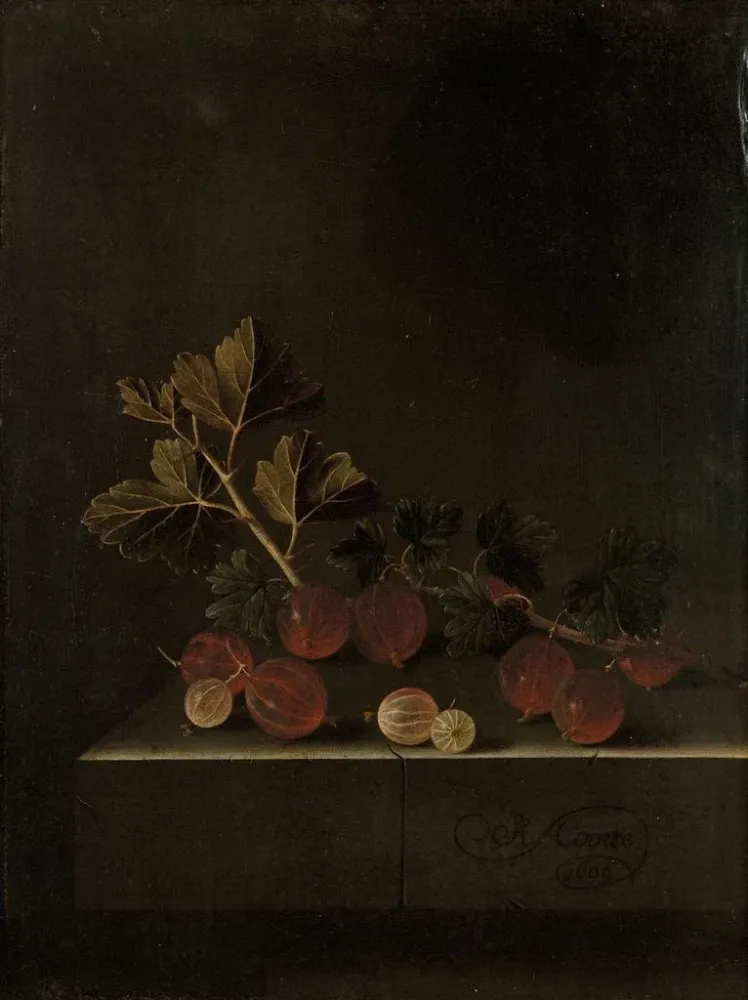 Gemälde Ein Zweig Johannisbeeren auf einem Steinsockel - Adriaen Coorte
