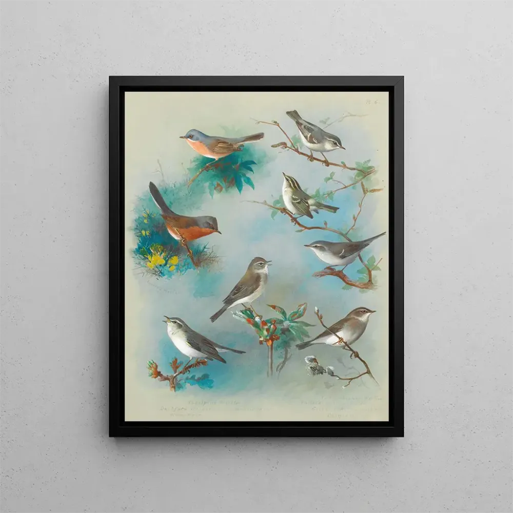 Gemälde Fauvettes und Zaunkönige - Archibald Thorburn | Kunstdruck
