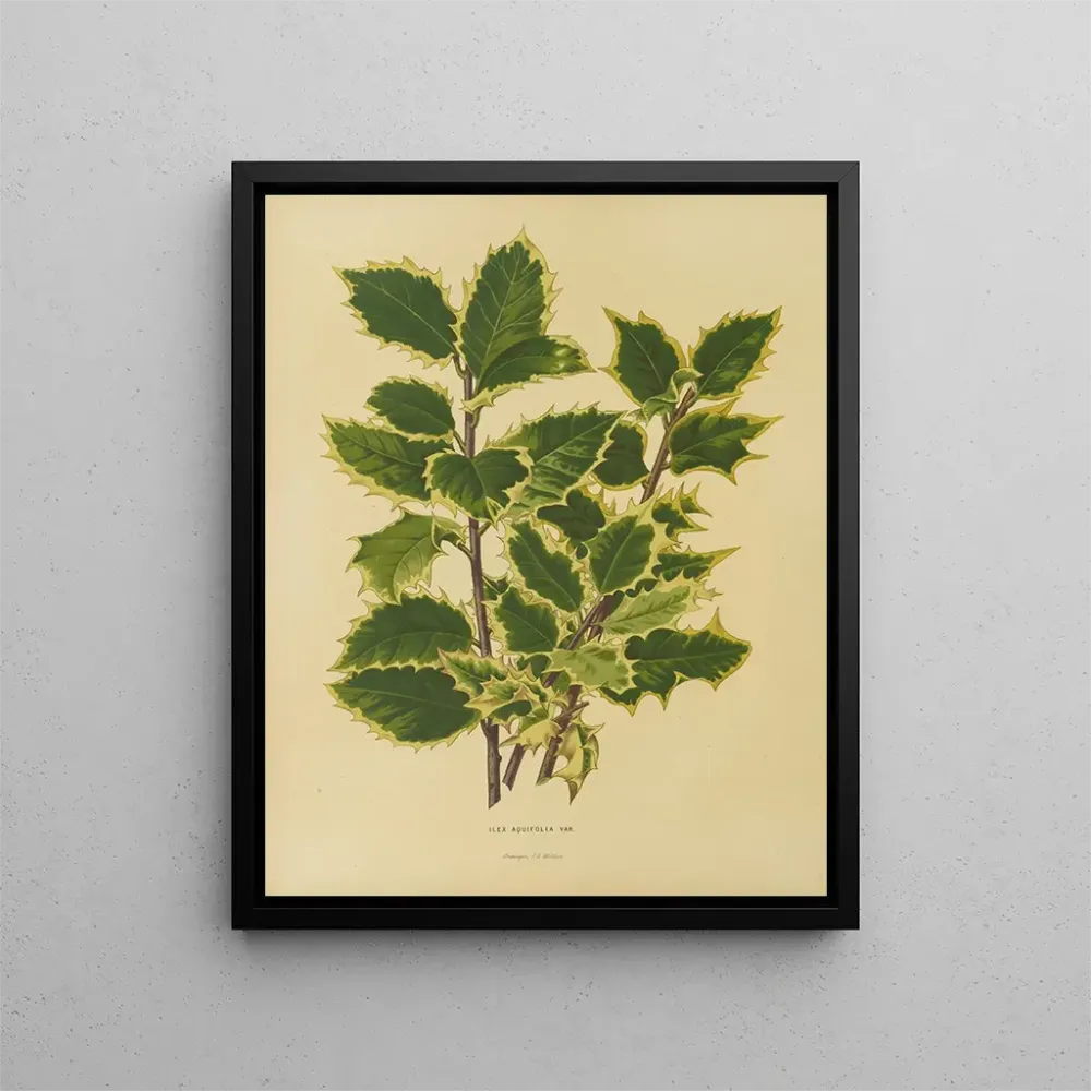 Gemälde Flore hollandaise et Pomone 18 - Abraham Jacobus Wendel