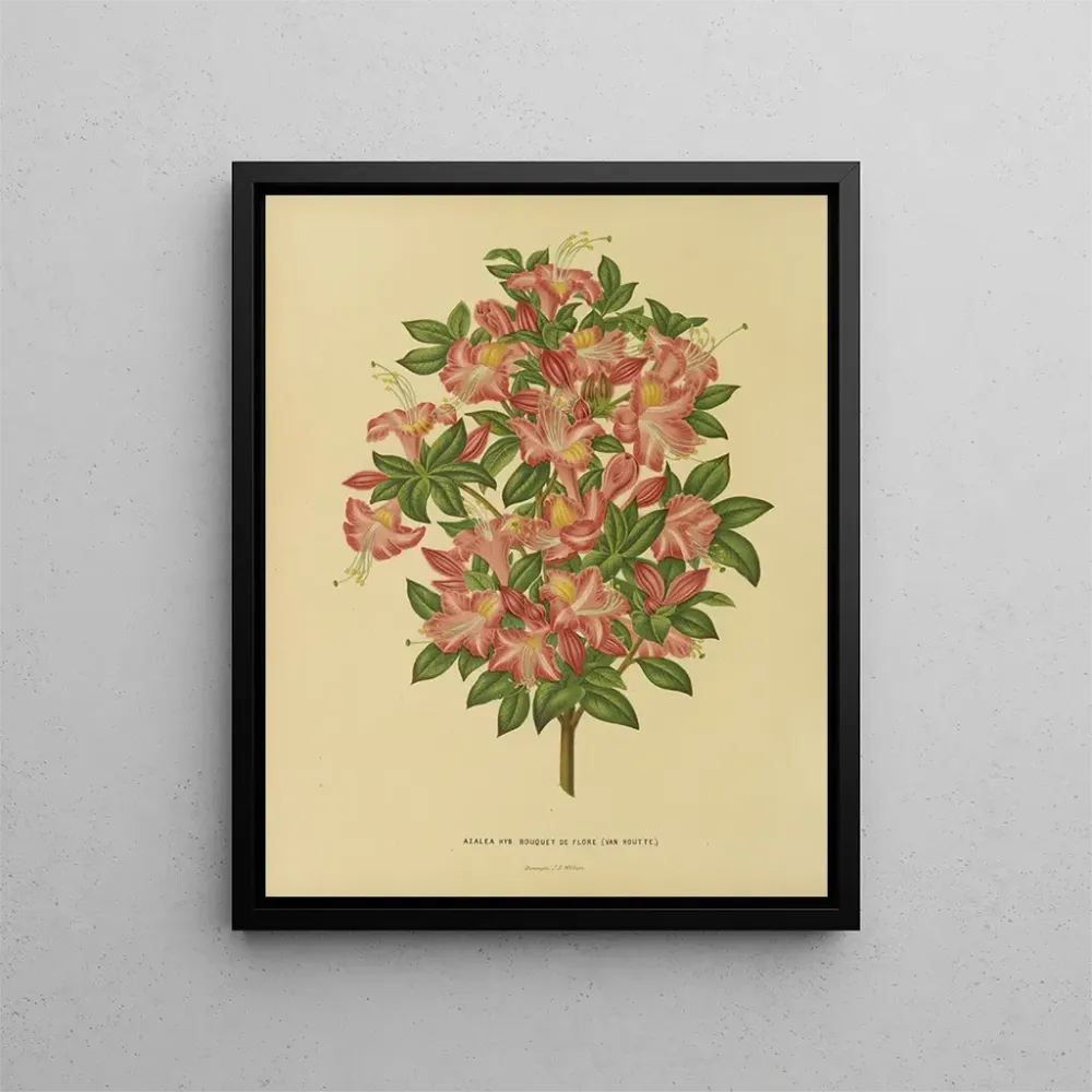 Gemälde Flore hollandaise et Pomone Pl. 16 - Abraham Jacobus Wendel | Kunstdruck