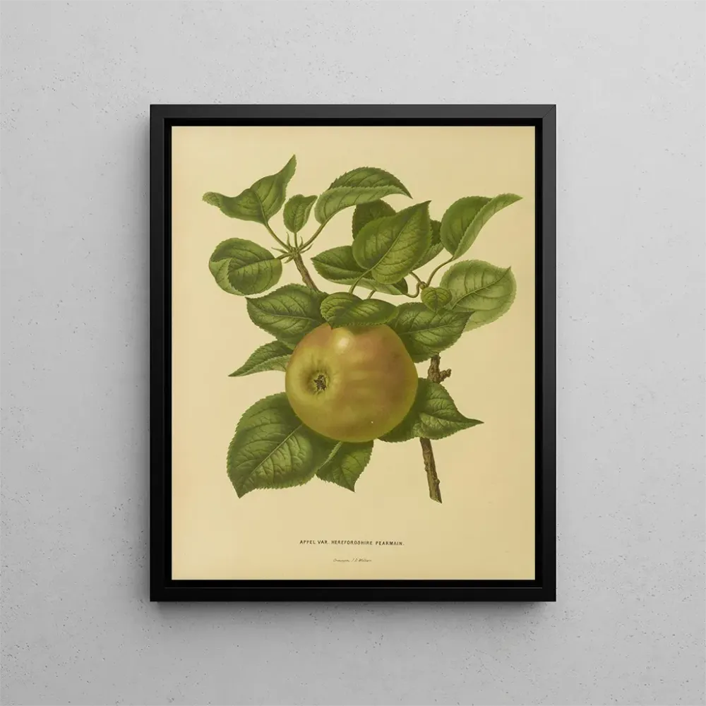 Gemälde Flore hollandaise et Pomone PL23 - Abraham Jacobus Wendel | Kunstdruck