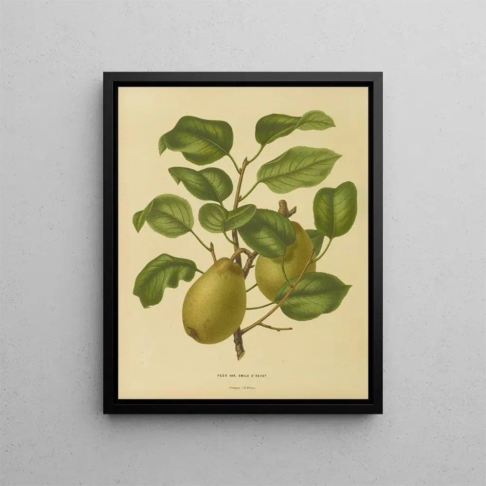 Gemälde Flore hollandaise et Pomone PL25 - Abraham Jacobus Wendel | Kunstdruck