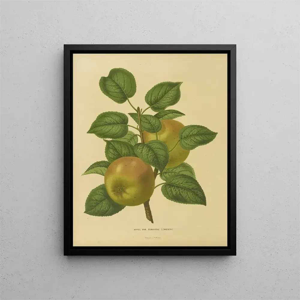 Gemälde Flore hollandaise et Pomone PL27 - Abraham Jacobus Wendel | Kunstdruck