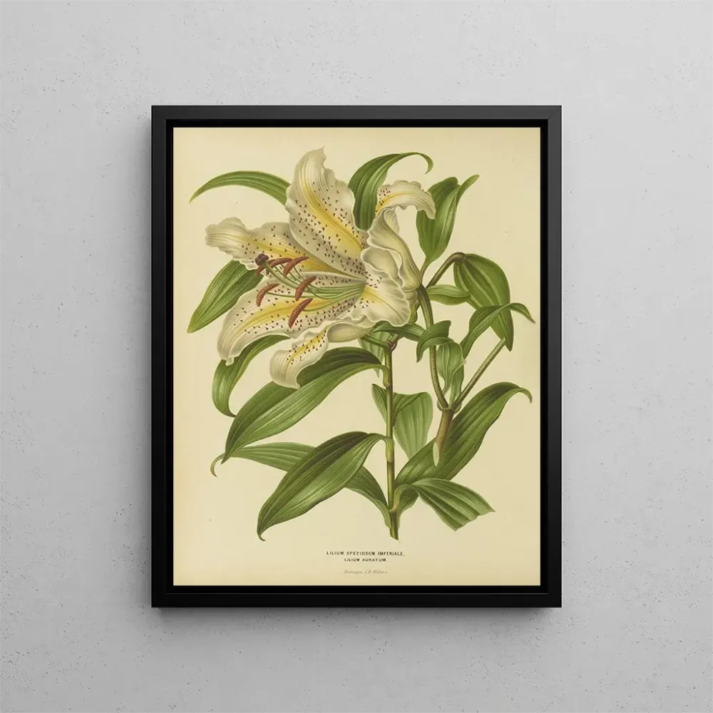 Gemälde Flore hollandaise et Pomone PL30 - Abraham Jacobus Wendel | Kunstdruck