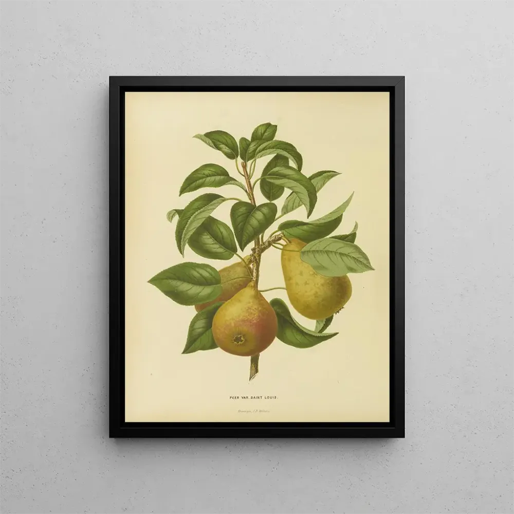 Gemälde Flore hollandaise et Pomone PL33 - Abraham Jacobus Wendel | Kunstdruck