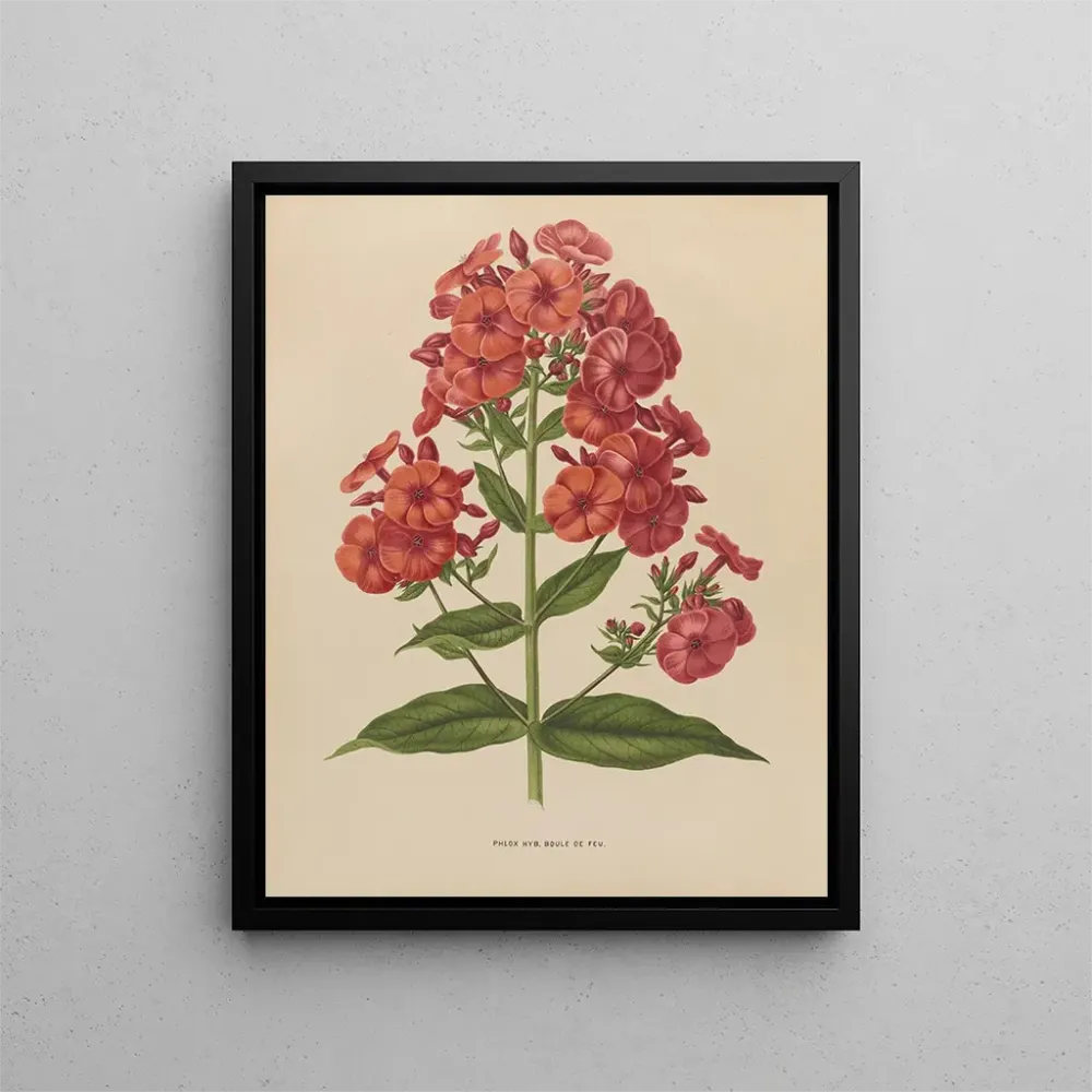 Gemälde Flore hollandaise et Pomone PL39 - Abraham Jacobus Wendel | Kunstdruck