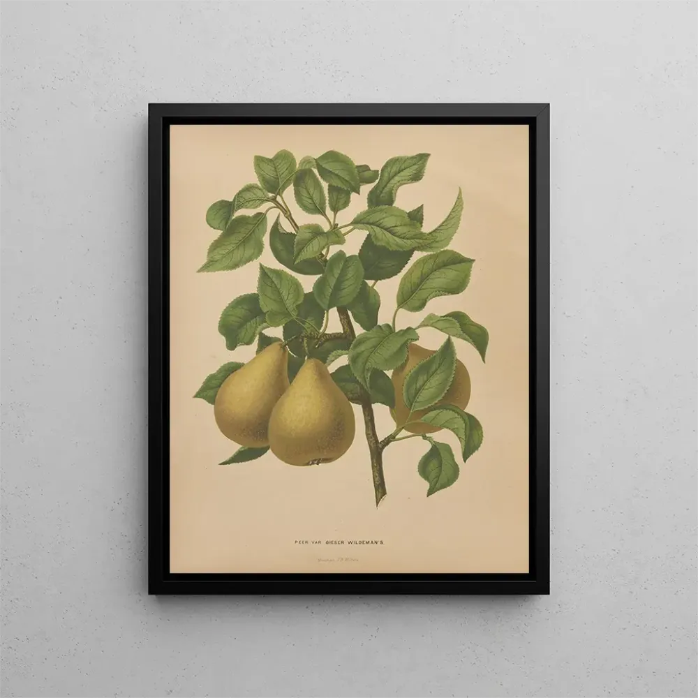 Gemälde Flore hollandaise et Pomone PL51 - Abraham Jacobus Wendel | Kunstdruck