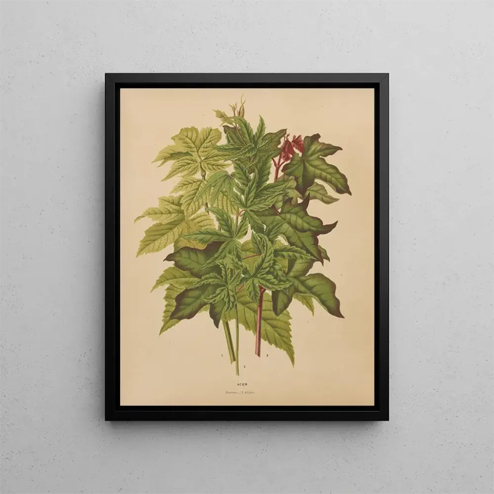 Gemälde Flore hollandaise et Pomone PL53 - Abraham Jacobus Wendel | Kunstdruck