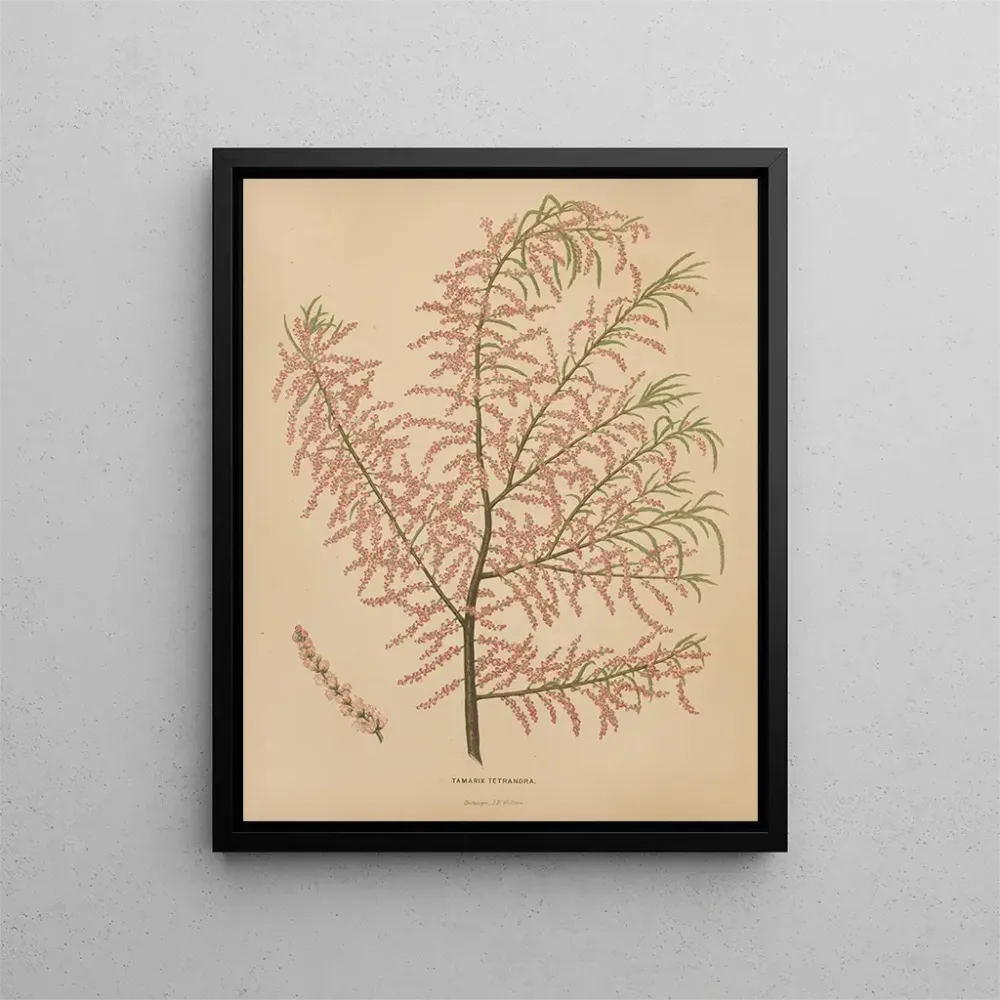 Gemälde Flore hollandaise et Pomone PL56 - Abraham Jacobus Wendel | Kunstdruck