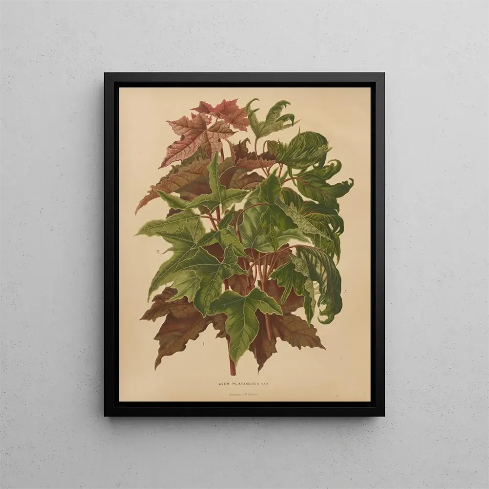 Gemälde Flore hollandaise et Pomone PL58 - Abraham Jacobus Wendel | Kunstdruck