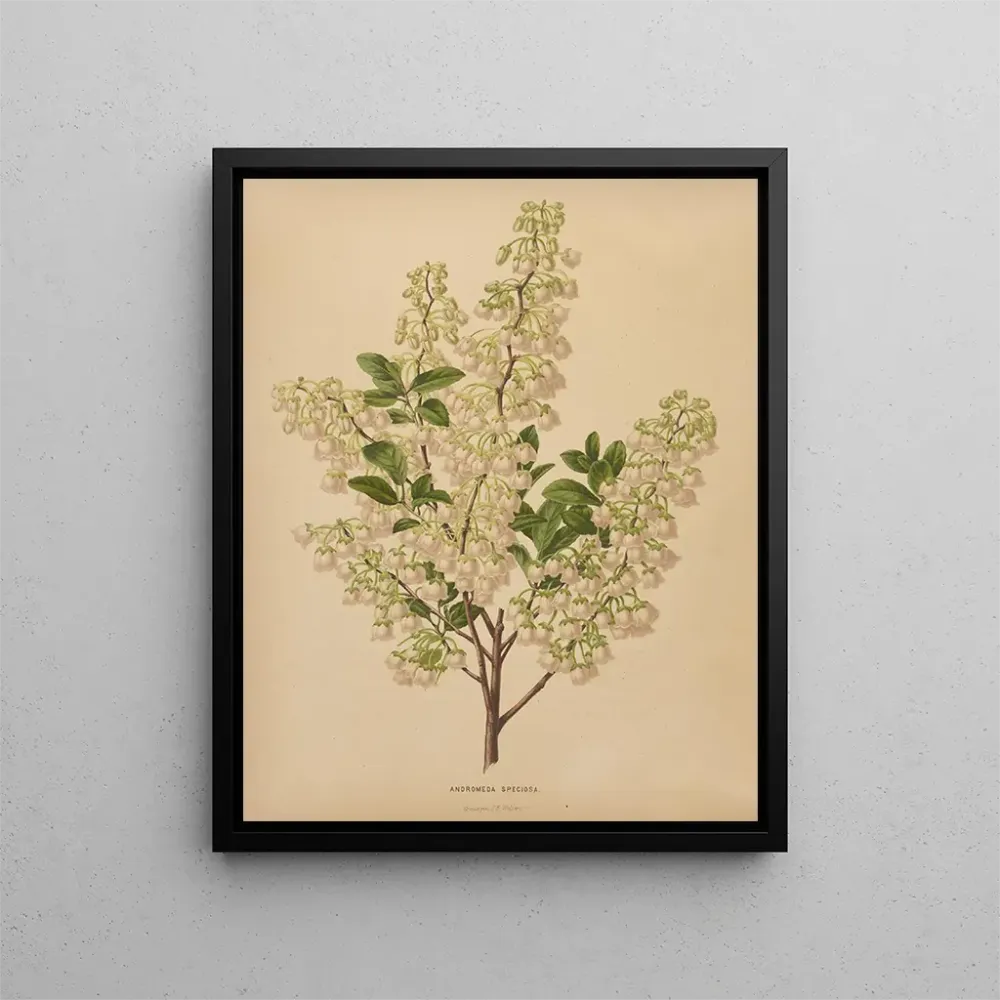 Gemälde Flore hollandaise et Pomone PL61 - Abraham Jacobus Wendel | Kunstdruck