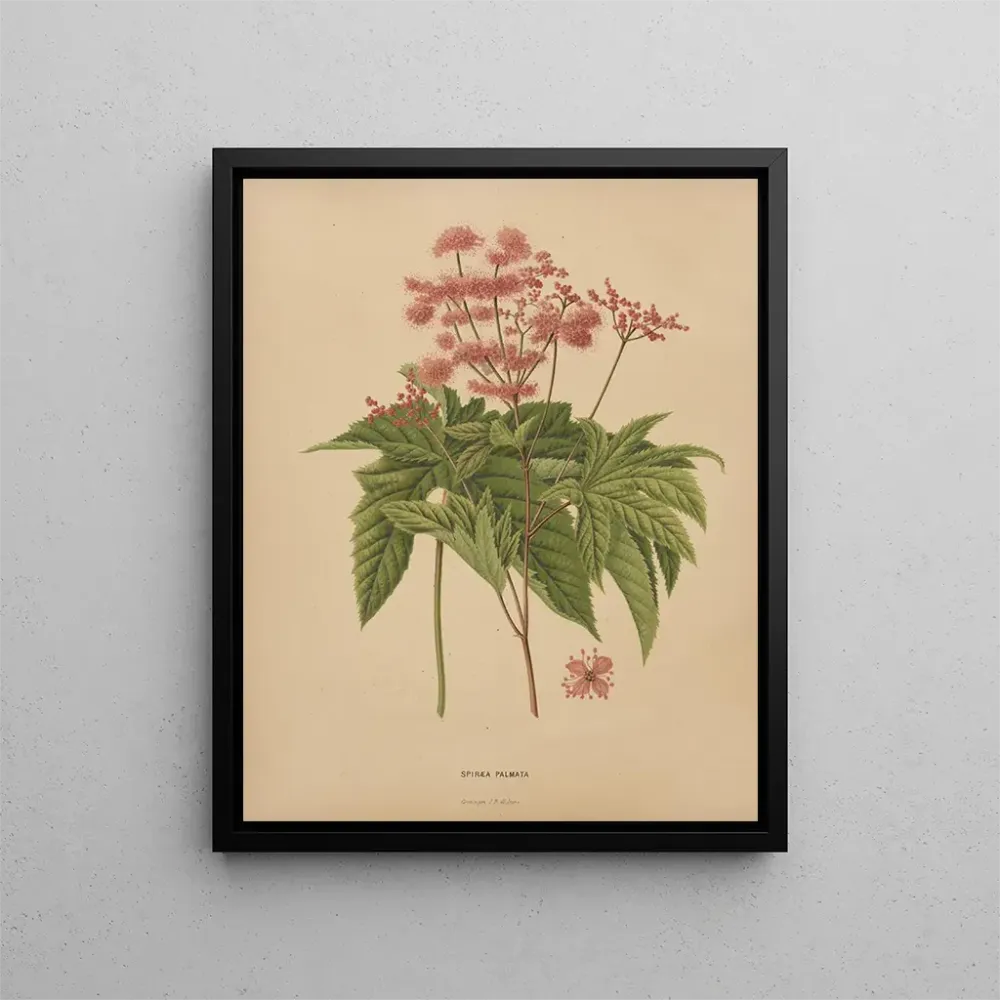 Gemälde Flore hollandaise et Pomone PL62 - Abraham Jacobus Wendel | Kunstdruck