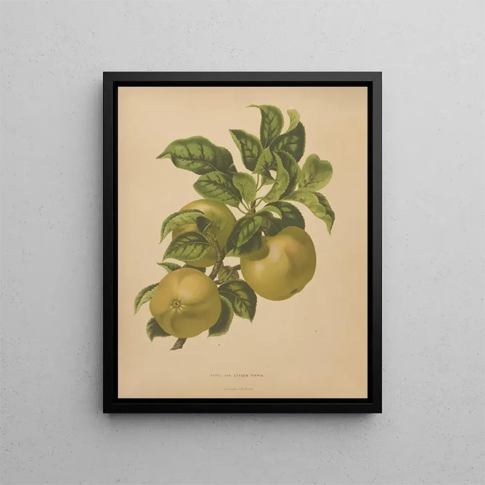 Gemälde Flore hollandaise et Pomone PL67 - Abraham Jacobus Wendel | Kunstdruck
