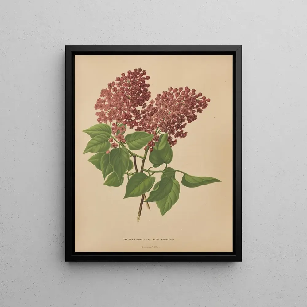 Gemälde Flore hollandaise et Pomone PL69 - Abraham Jacobus Wendel | Kunstdruck