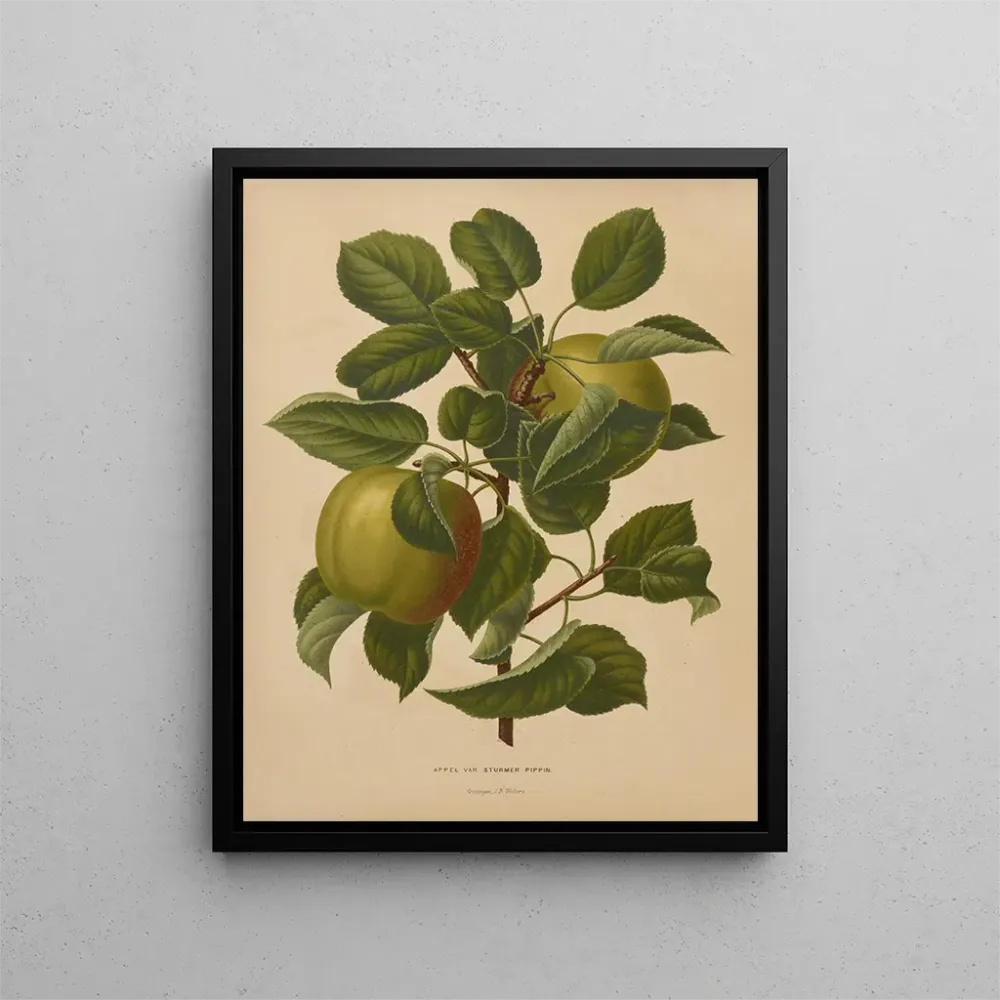 Gemälde Flore hollandaise et Pomone PL71 - Abraham Jacobus Wendel | Kunstdruck