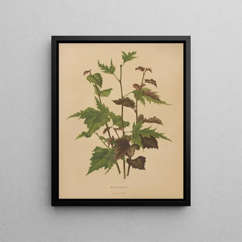 Gemälde Flore hollandaise et Pomone PL76 - Abraham Jacobus Wendel | Kunstdruck