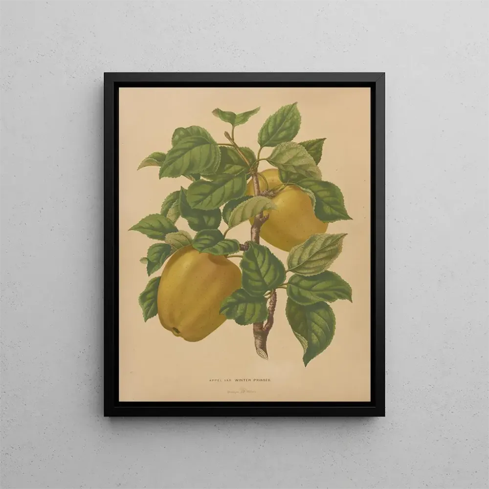 Gemälde Flore hollandaise et Pomone PL79 - Abraham Jacobus Wendel | Kunstdruck