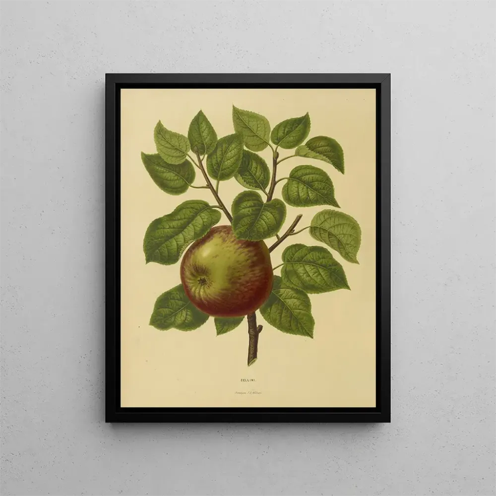 Gemälde Flore holländische und Pomone PL20 - Abraham Jacobus Wendel | Kunstdruck
