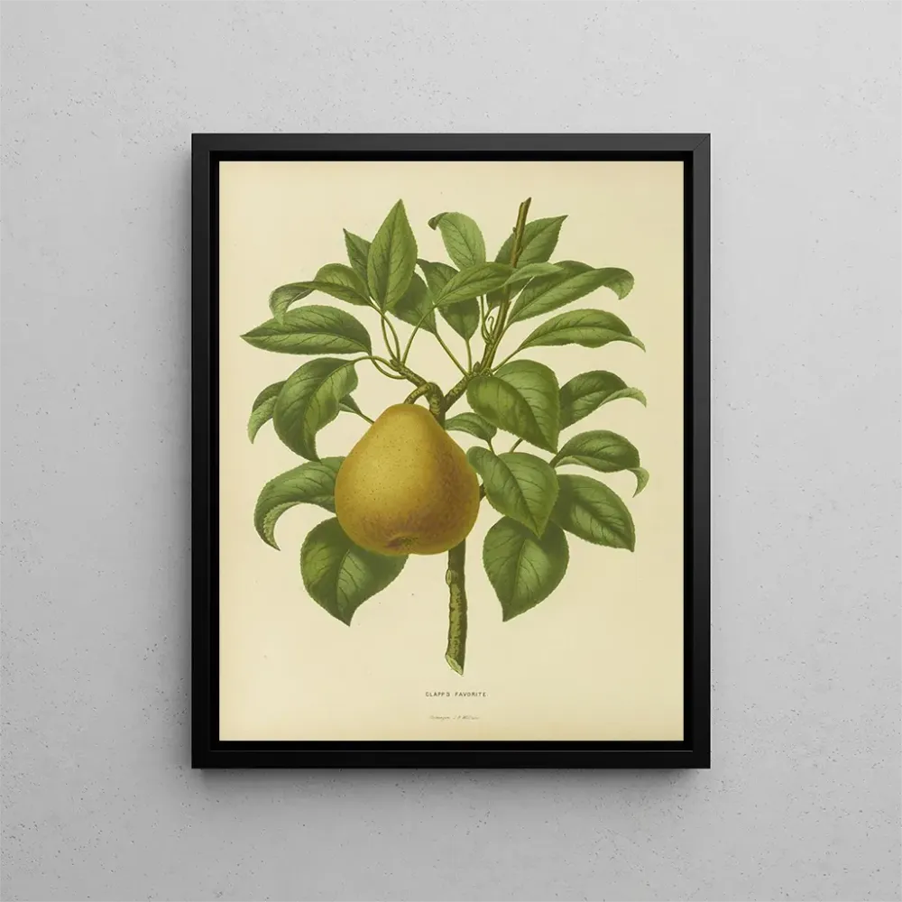 Gemälde Flore holländische und Pomone PL28 - Abraham Jacobus Wendel | Kunstdruck
