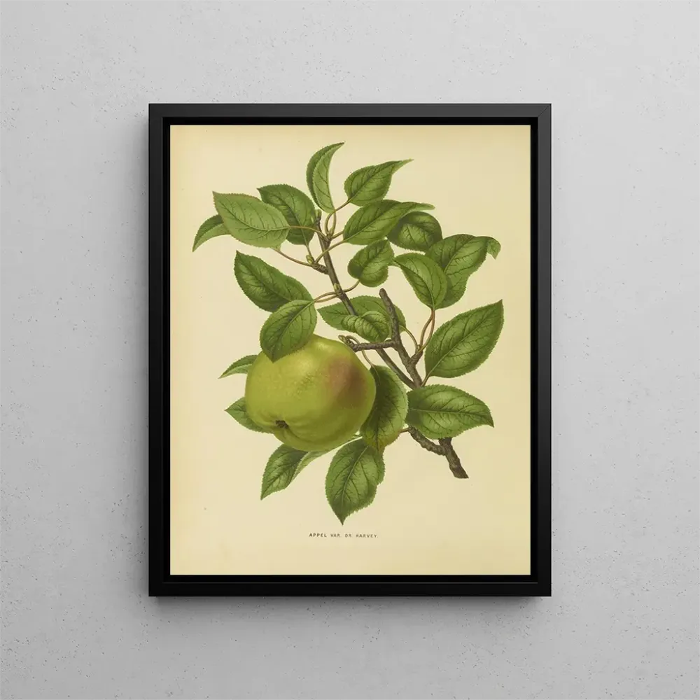 Gemälde Flore holländische und Pomone PL35 - Abraham Jacobus Wendel | Kunstdruck