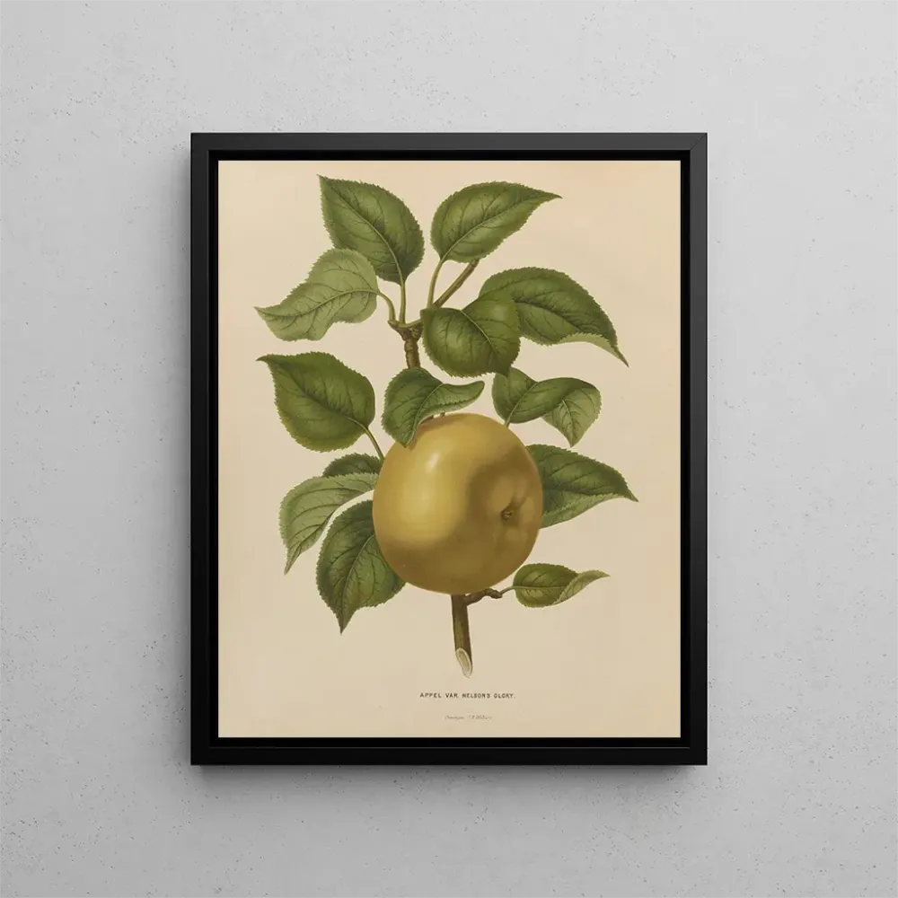 Gemälde Flore holländische und Pomone PL38 - Abraham Jacobus Wendel | Kunstdruck