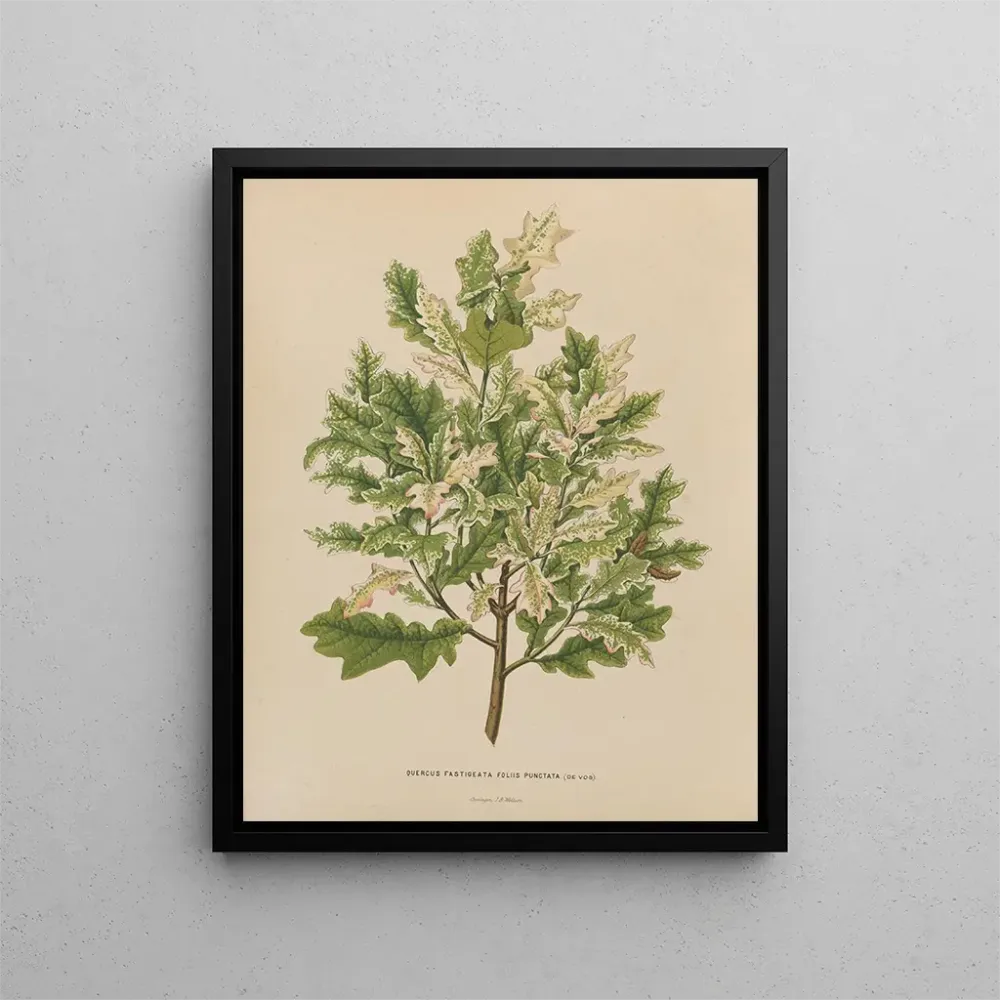 Gemälde Flore holländische und Pomone PL40 - Abraham Jacobus Wendel | Kunstdruck
