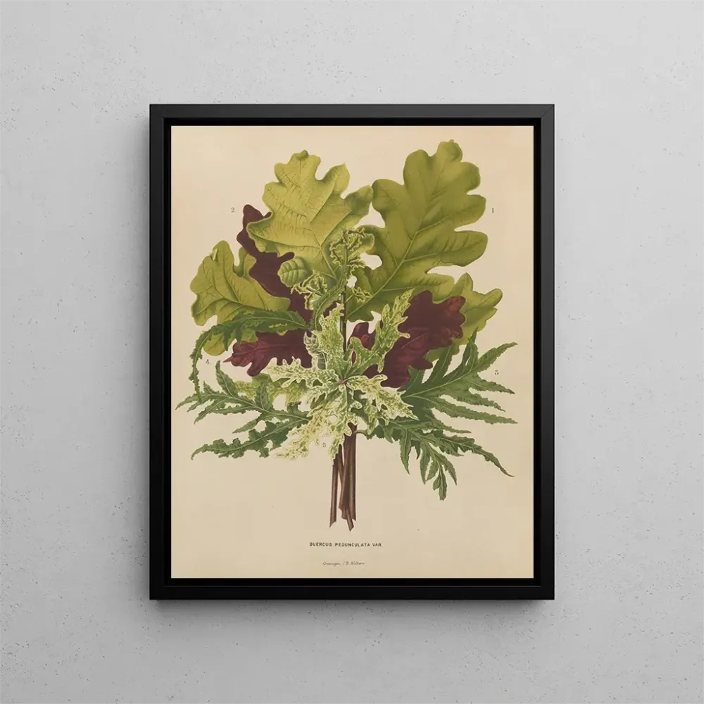 Gemälde Flore holländische und Pomone PL42 - Abraham Jacobus Wendel | Kunstdruck