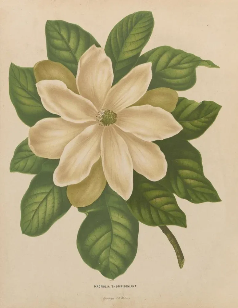 Gemälde Flore holländische und Pomone PL43 - Abraham Jacobus Wendel