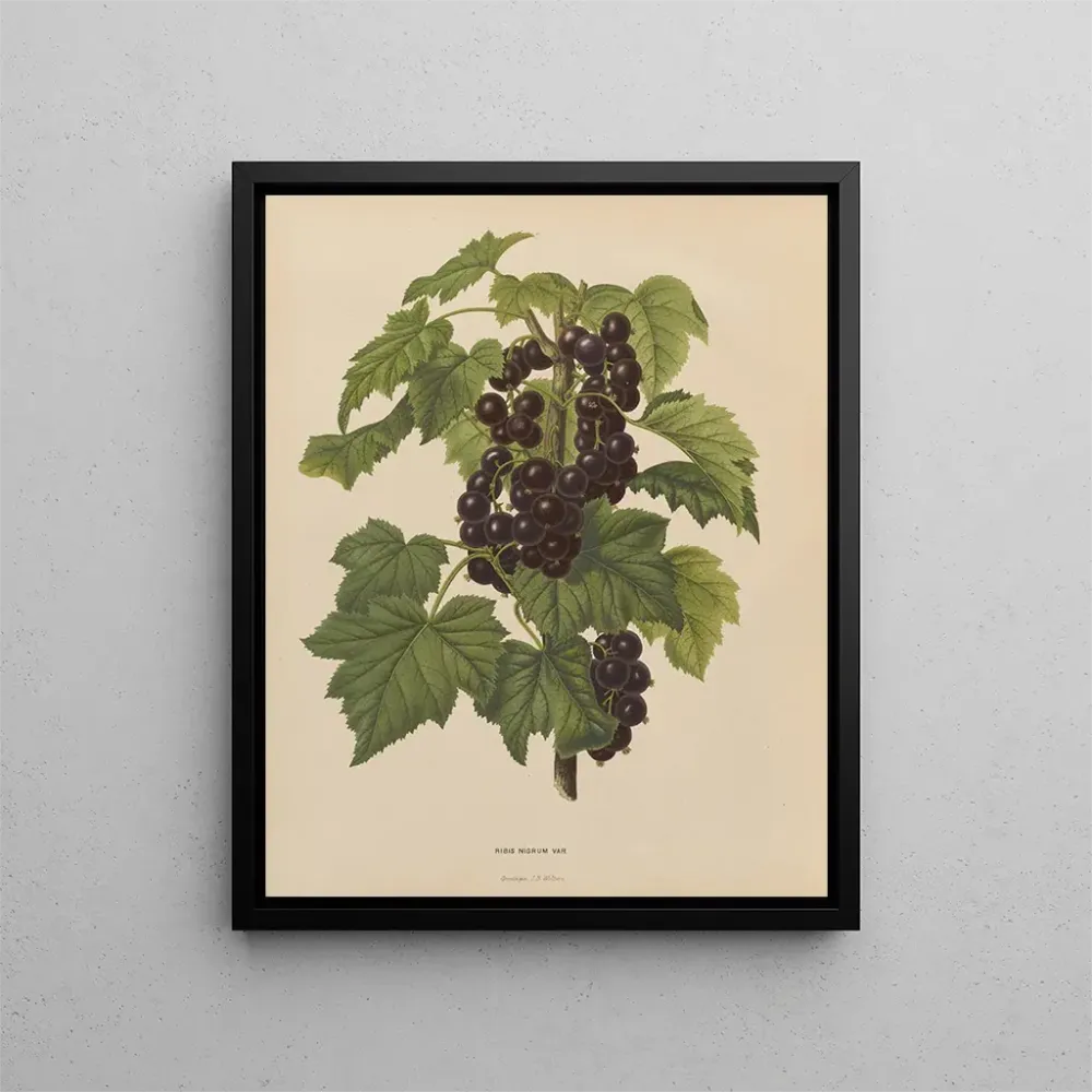 Gemälde Flore holländische und Pomone PL45 - Abraham Jacobus Wendel | Kunstdruck
