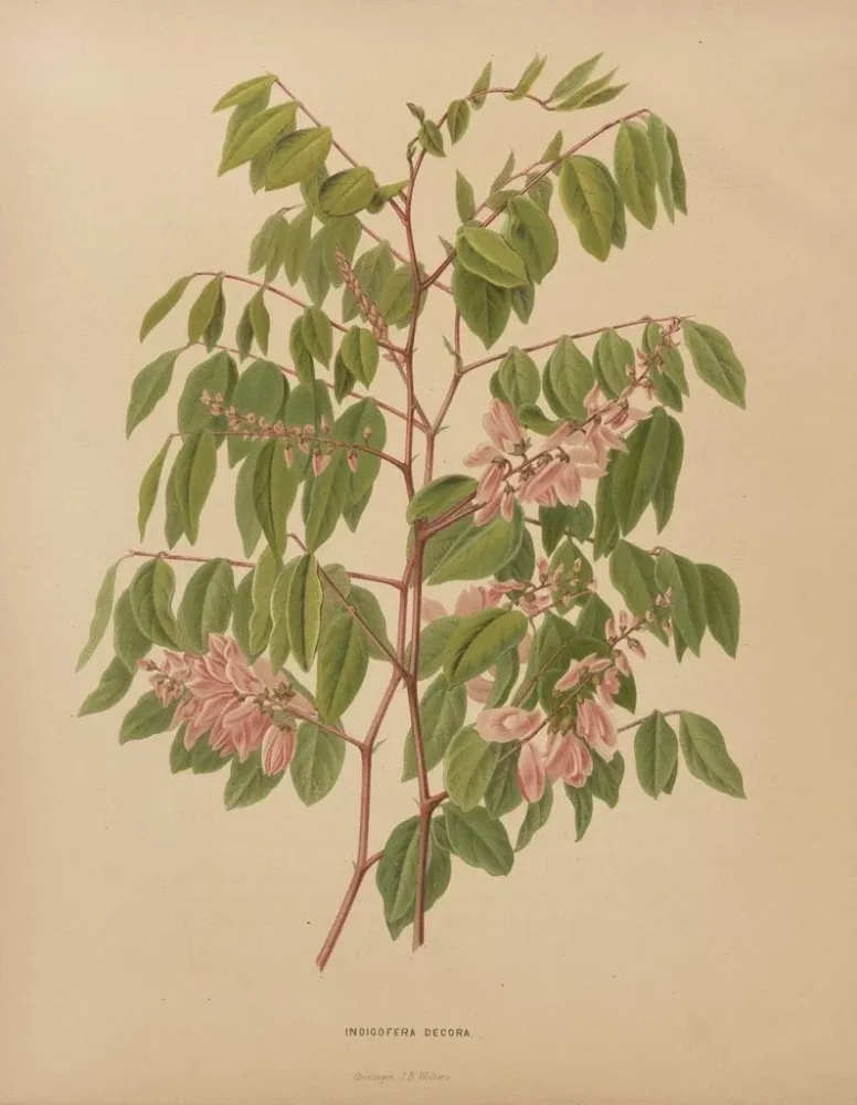 Gemälde Flore holländische und Pomone PL64 - Abraham Jacobus Wendel