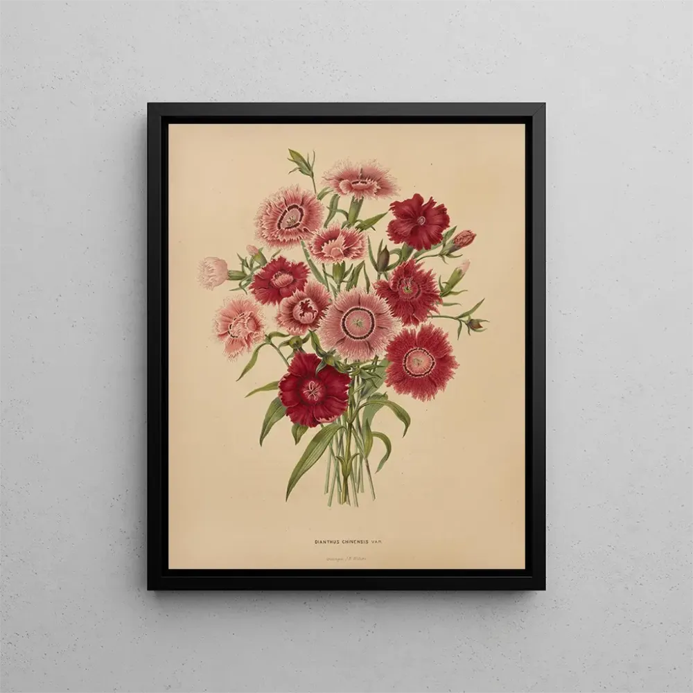 Gemälde Flore holländische und Pomone PL68 - Abraham Jacobus Wendel | Kunstdruck