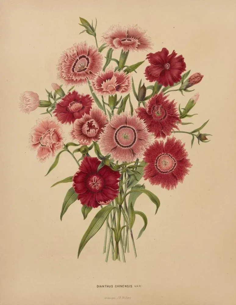 Gemälde Flore holländische und Pomone PL68 - Abraham Jacobus Wendel | Kunstdruck