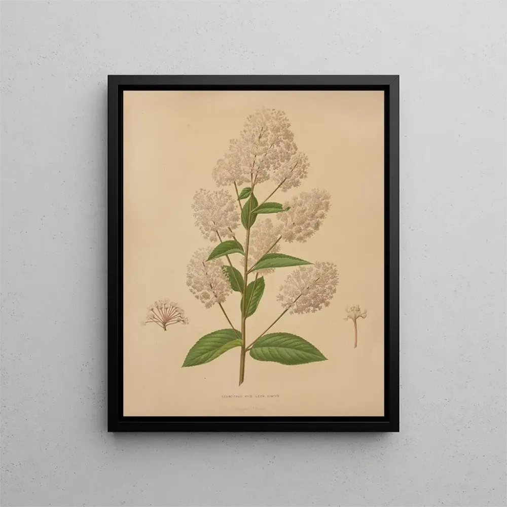 Gemälde Flore holländische und Pomone PL72 - Abraham Jacobus Wendel | Kunstdruck