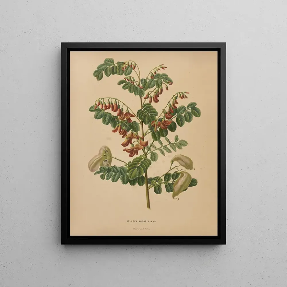 Gemälde Flore holländische und Pomone PL73 - Abraham Jacobus Wendel | Kunstdruck