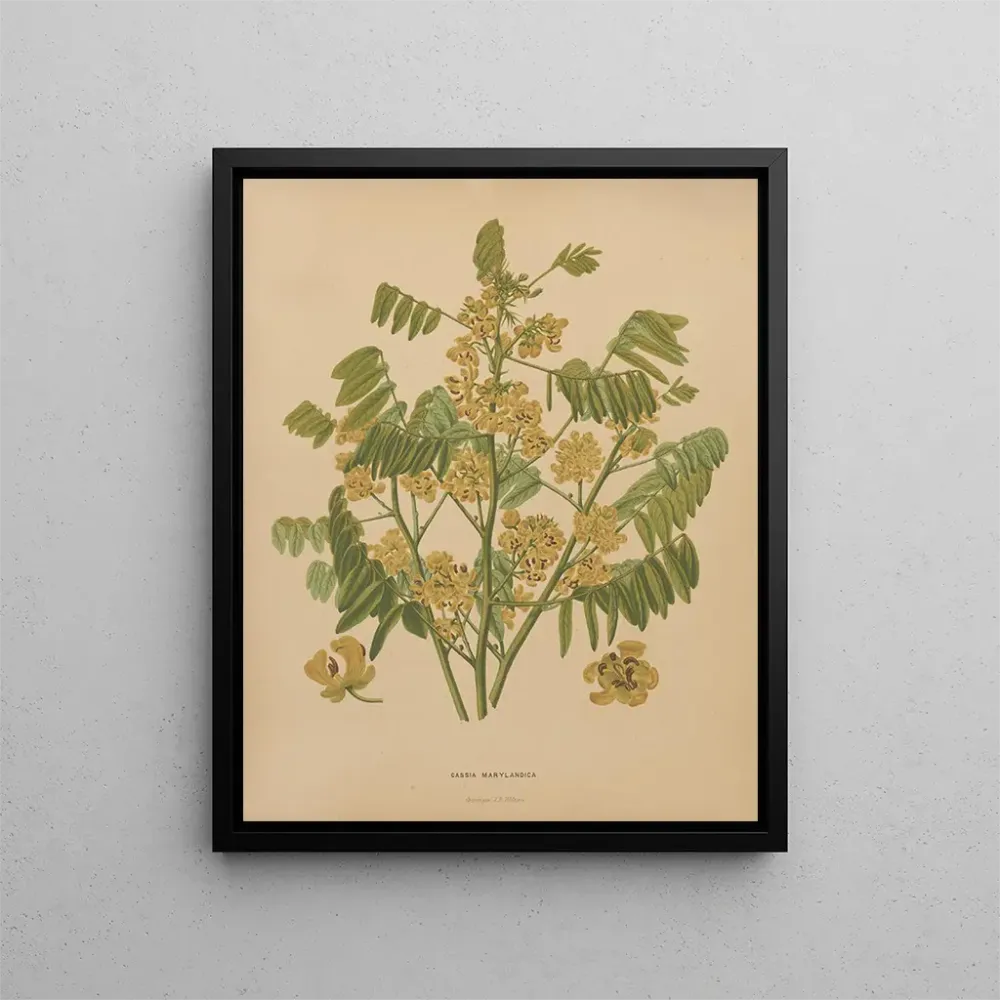 Gemälde Flore holländische und Pomone PL78 - Abraham Jacobus Wendel | Kunstdruck