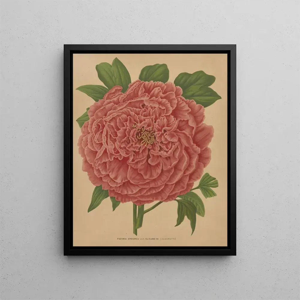 Gemälde Flore holländische und Pomone PL81 - Abraham Jacobus Wendel | Kunstdruck