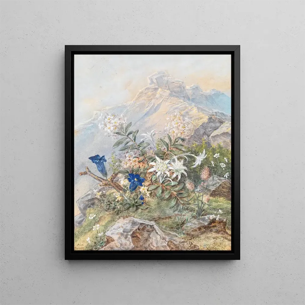Gemälde Gentiane und Edelweiss - Anna Stainer-Knittel | Kunstdruck