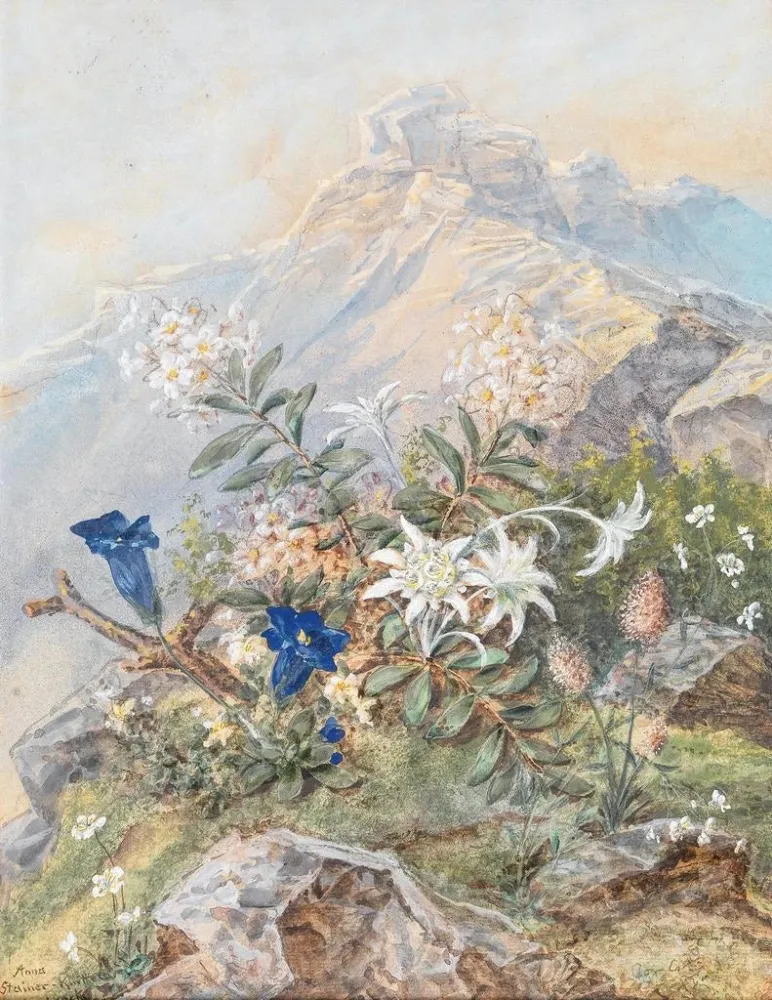 Gemälde Gentiane und Edelweiss - Anna Stainer-Knittel | Kunstdruck